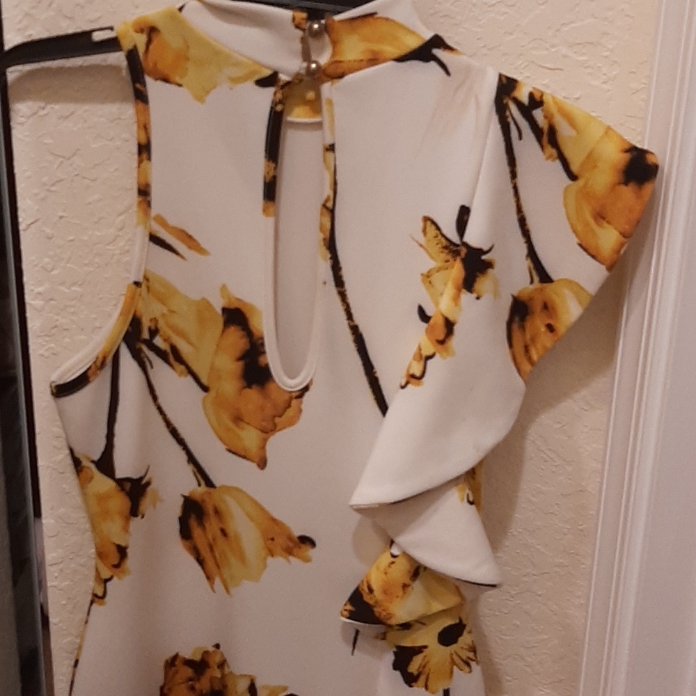 Privy Stylish Ruffled Dress - Picture 6 of 8